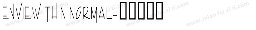 Enview Thin Normal字体转换